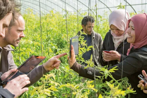 Teilnehmer*innen im Gewächshaus nutzen eine App