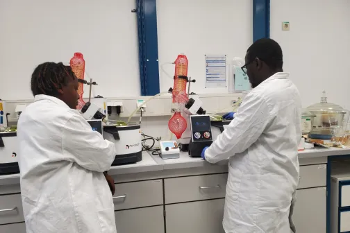 Wissenschaftliche Analyse von Pflanzenmaterial an der Universität Leipzig